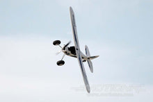 Load image into Gallery viewer, Dynam Primo 1450mm (57") Wingspan - RTF - (OPEN BOX)