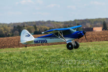 Load image into Gallery viewer, E-flite Carbon-Z Cub with AS3X 2150mm (84.6") Wingspan - BNF