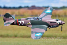 Load image into Gallery viewer, FMS P-40B Warhawk Flying Tiger 1400mm (55") Wingspan - PNP
