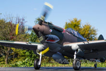 Load image into Gallery viewer, FMS P-40B Warhawk High Speed 980mm (38.6") Wingspan - PNP