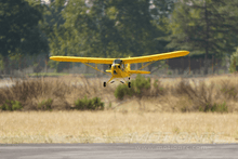 Load image into Gallery viewer, Dynam Piper J3 Cub 1200mm (47") Wingspan - RTF - (OPEN BOX)
