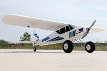 Load image into Gallery viewer, Dynam Primo 1450mm (57") Wingspan - RTF - (OPEN BOX)
