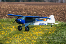 Load image into Gallery viewer, E-flite Carbon-Z Cub with AS3X 2150mm (84.6") Wingspan - BNF
