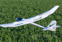 Load image into Gallery viewer, E-flite Radian XL BNF Basic 2.6m (102.4") Wingspan - BNF
