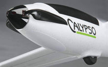 Load image into Gallery viewer, Flyzone Calypso Glider 1855mm (73") Wingspan - RXR
