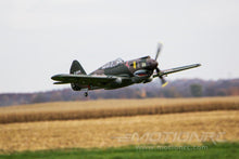 Load image into Gallery viewer, FMS P-40B Warhawk High Speed 980mm (38.6") Wingspan - PNP
