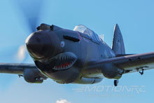 Load image into Gallery viewer, FMS P-40B Warhawk High Speed 980mm (38.6") Wingspan - PNP
