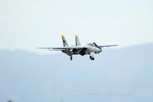 Load image into Gallery viewer, Freewing F-14 Tomcat Twin 80mm EDF Jet - PNP
