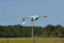 Load image into Gallery viewer, Freewing Seagull 4-in-1 Prop and EDF 1400mm (55") Wingspan - PNP
